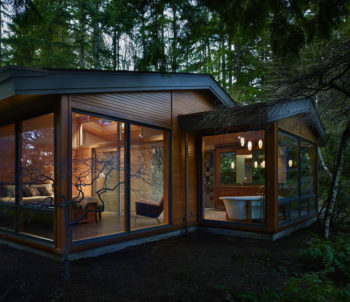 House in the forest by Finne Architects