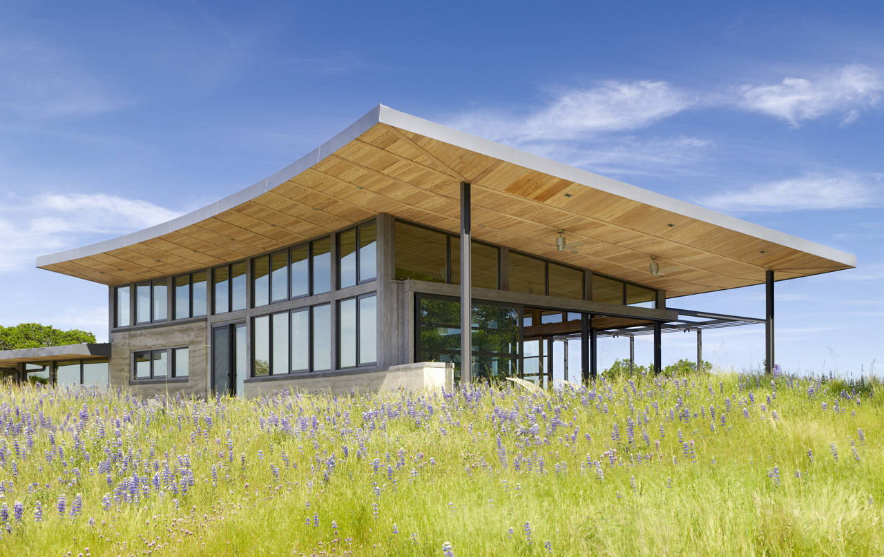 Caterpillar House by Feldman Architecture