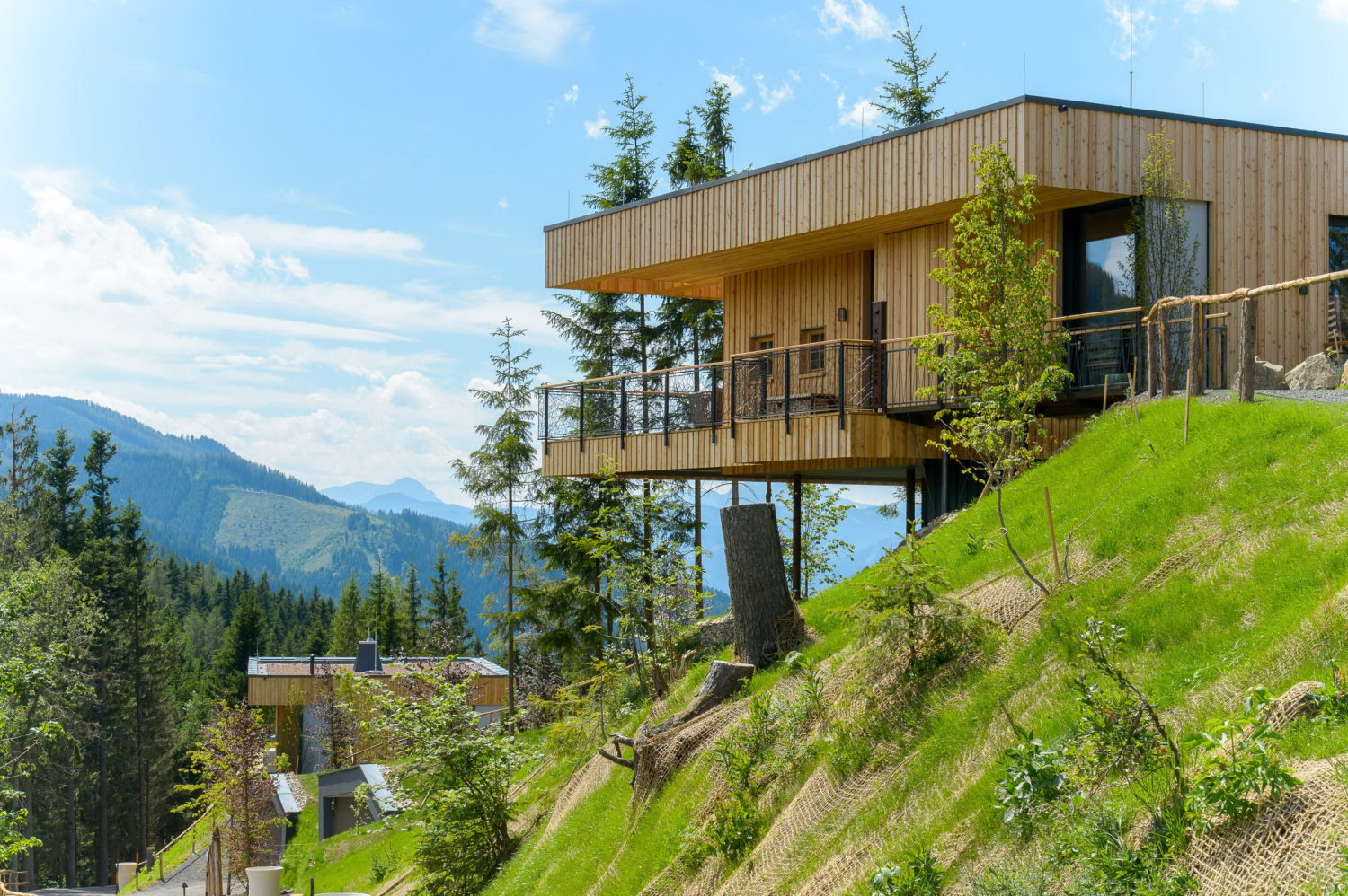 Deluxe Mountain Chalets by Viereck Architects