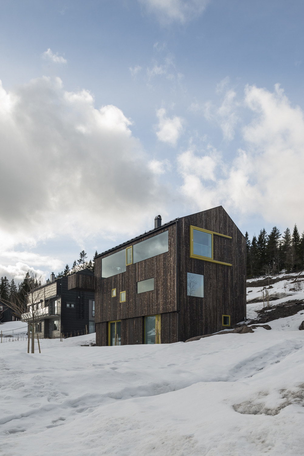 House Linnebo by Schjelderup Trondahl Architects