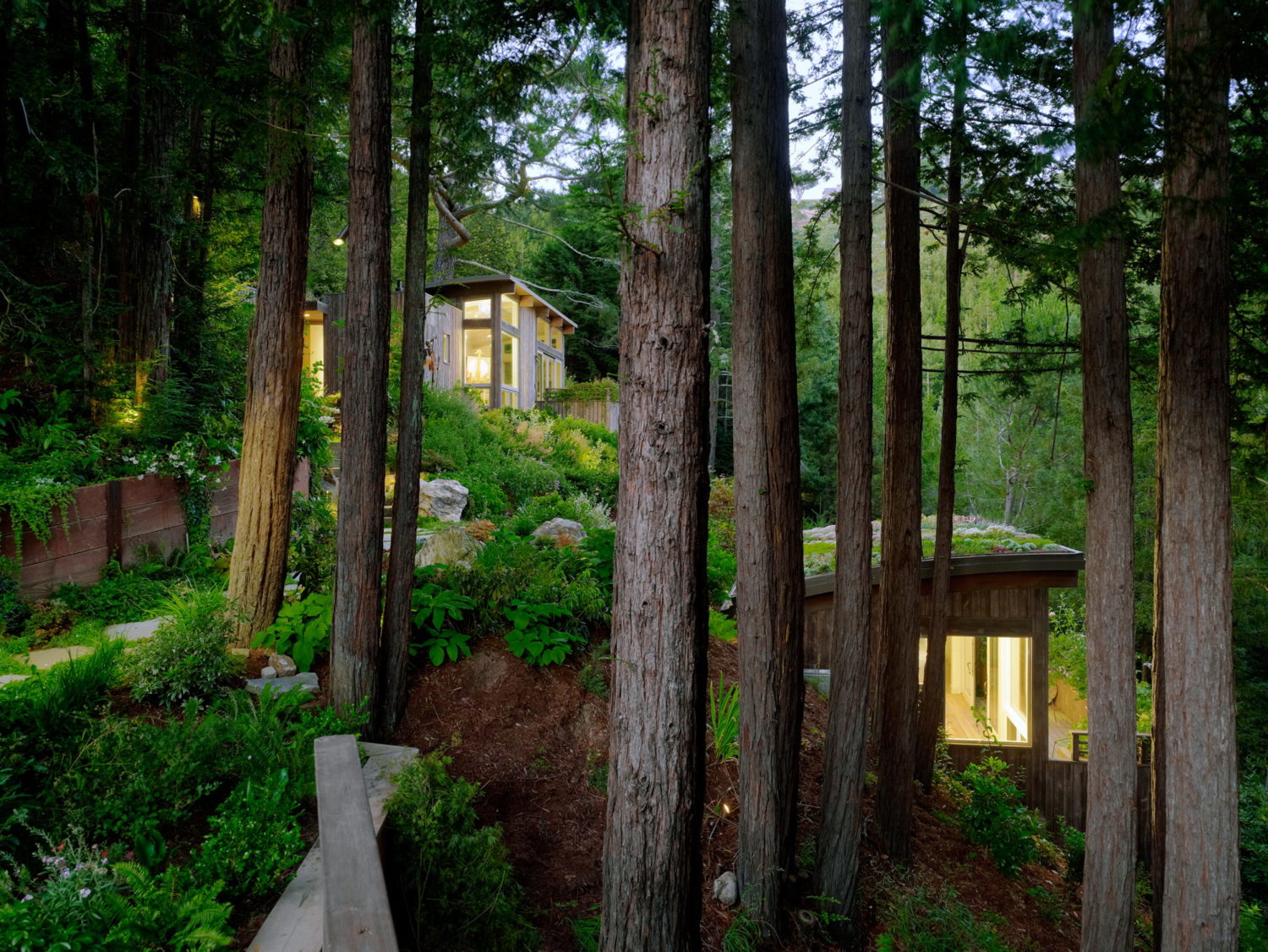 Mill Valley Cabins by Feldman Architecture