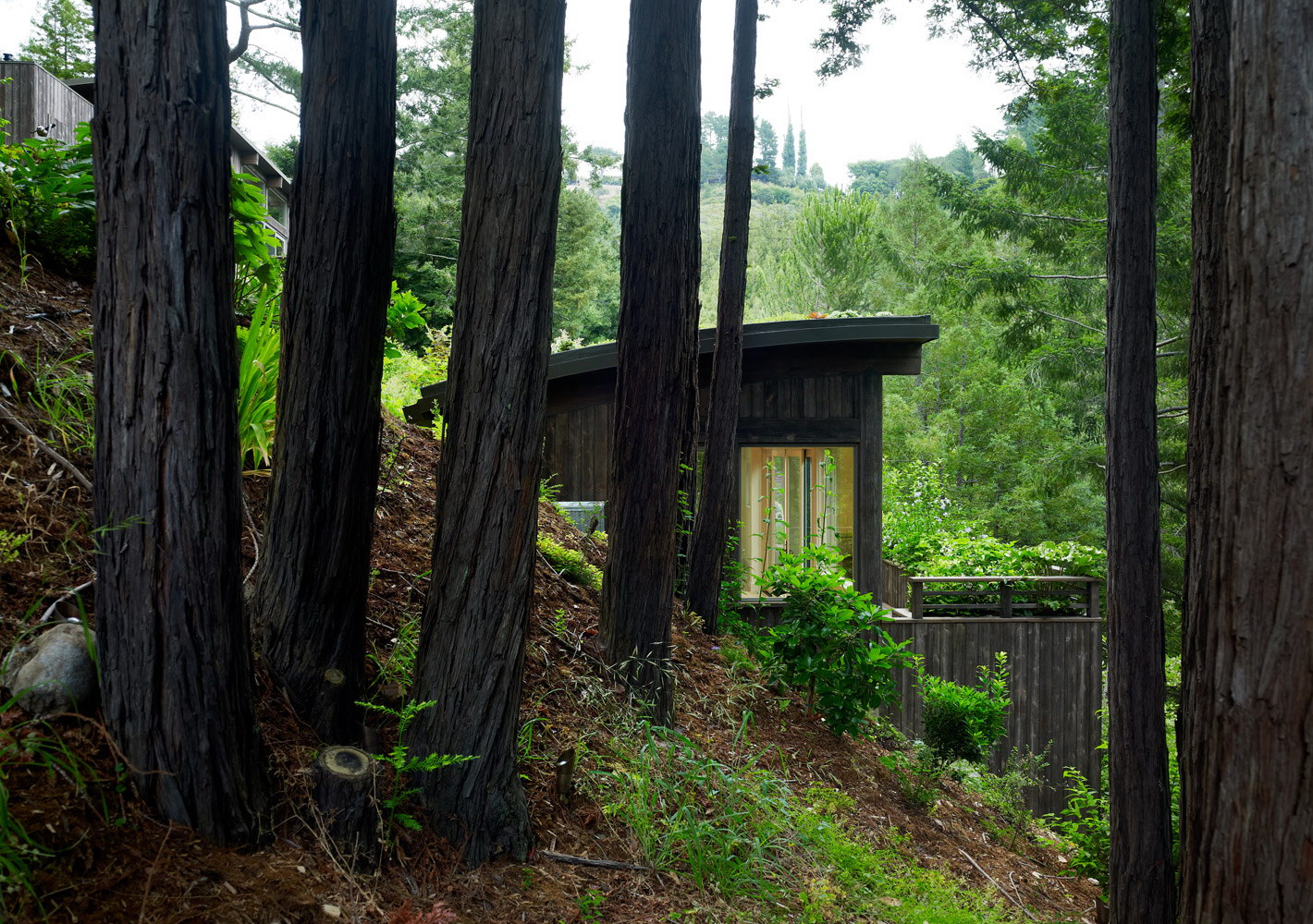 Mill Valley Cabins by Feldman Architecture