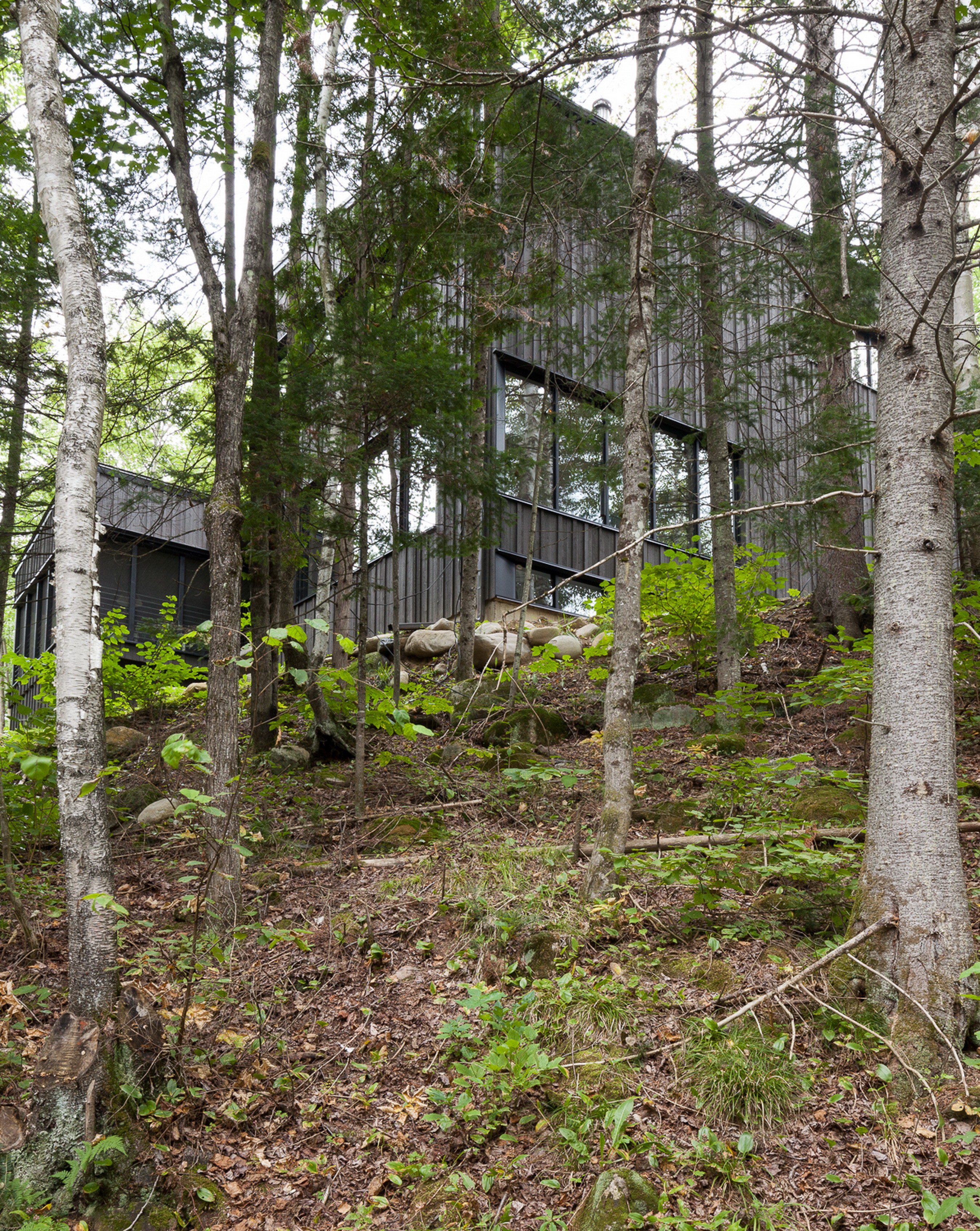 La Cache | Forest house by Nathalie Thibodeau Architecte