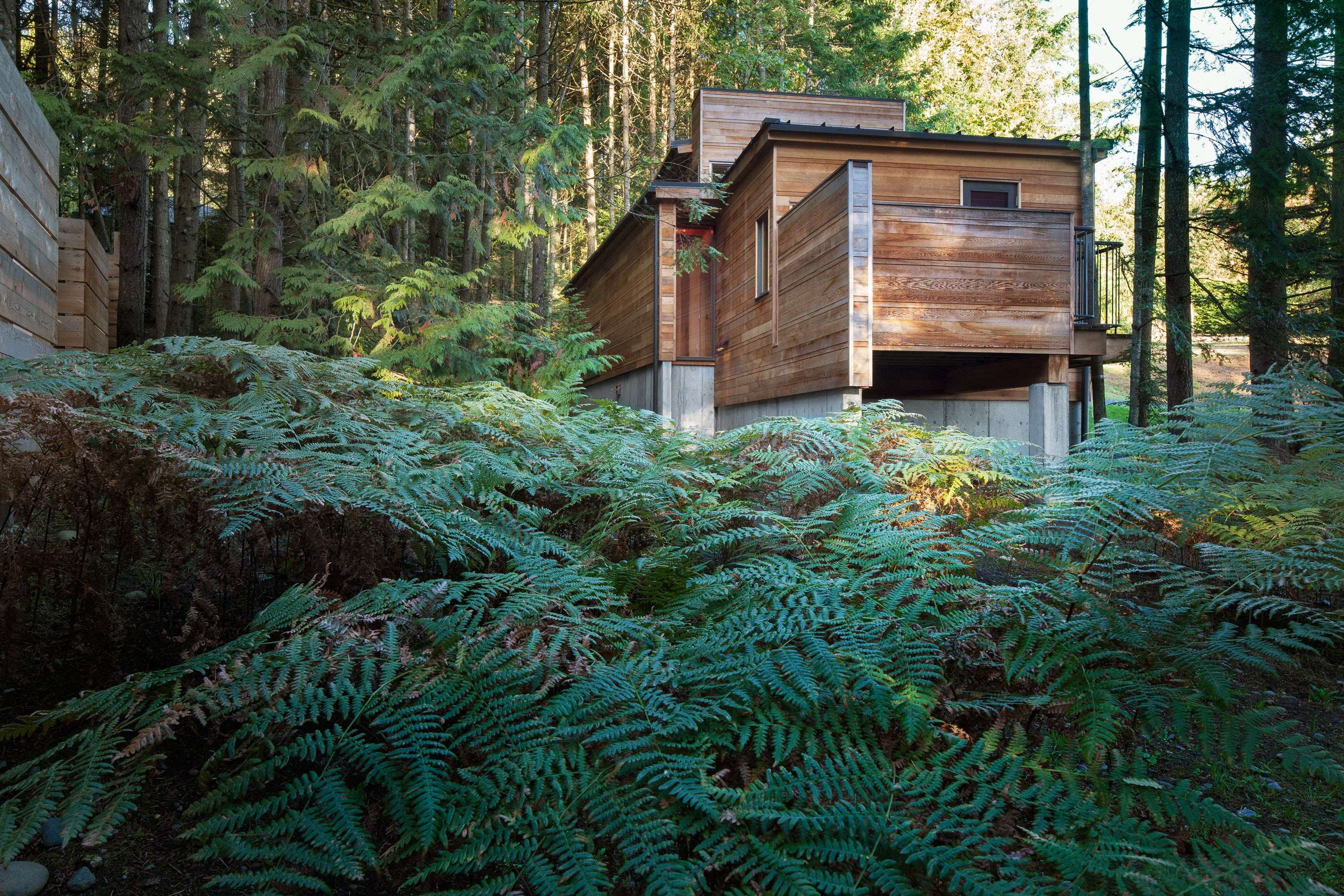 Rainforest Retreat | Small Dwelling by AGATHOM Co.