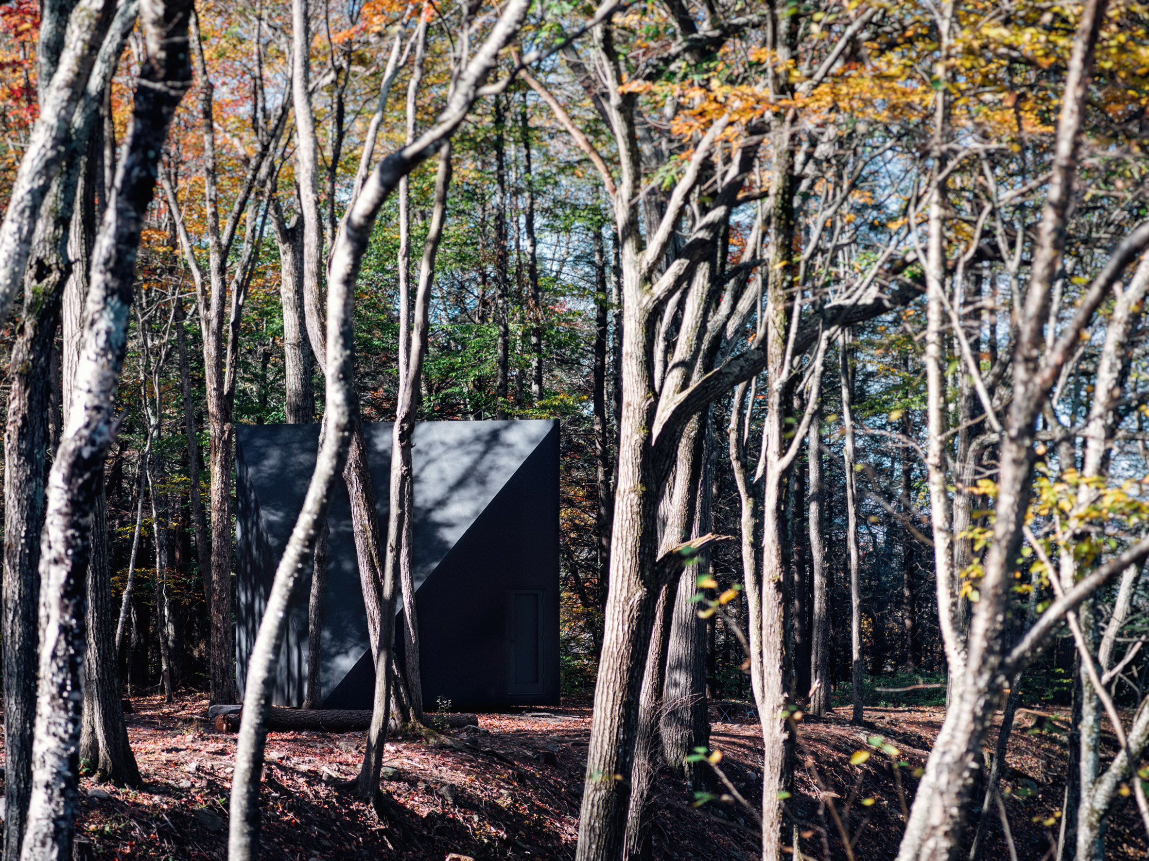 A45 | Tiny Triangular Cabin in New York by BIG
