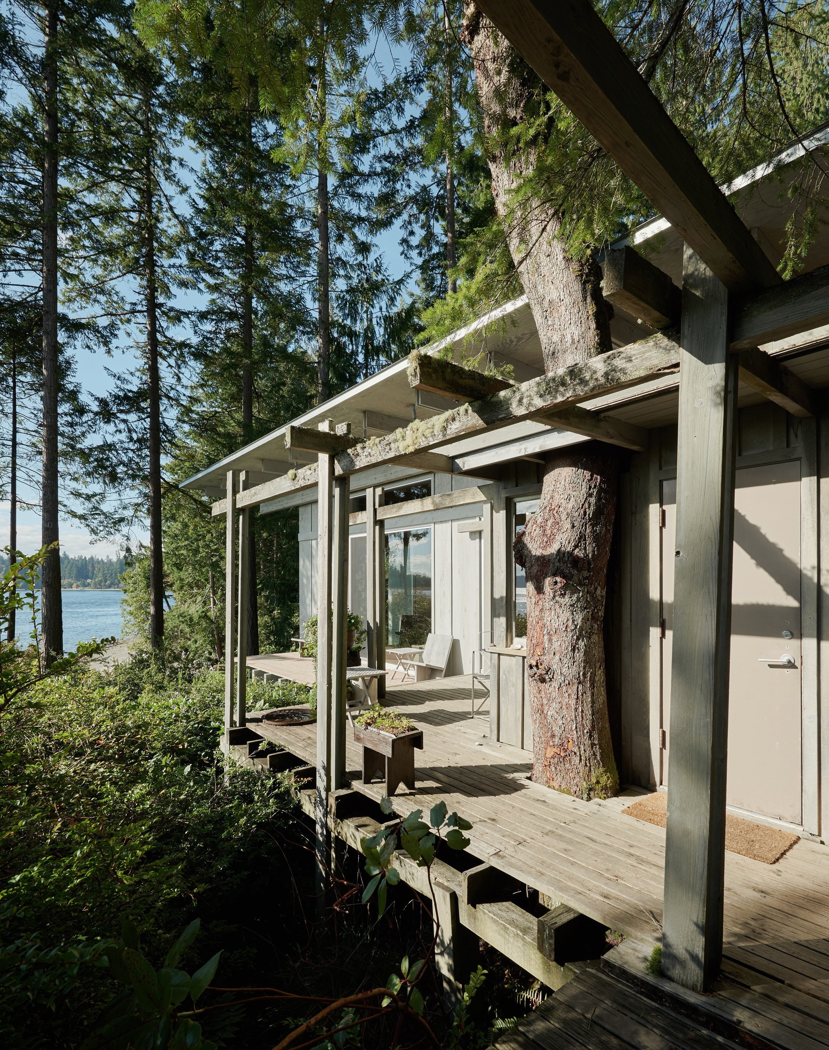 Expanded Cabin at Longbranch by Olson Kundig