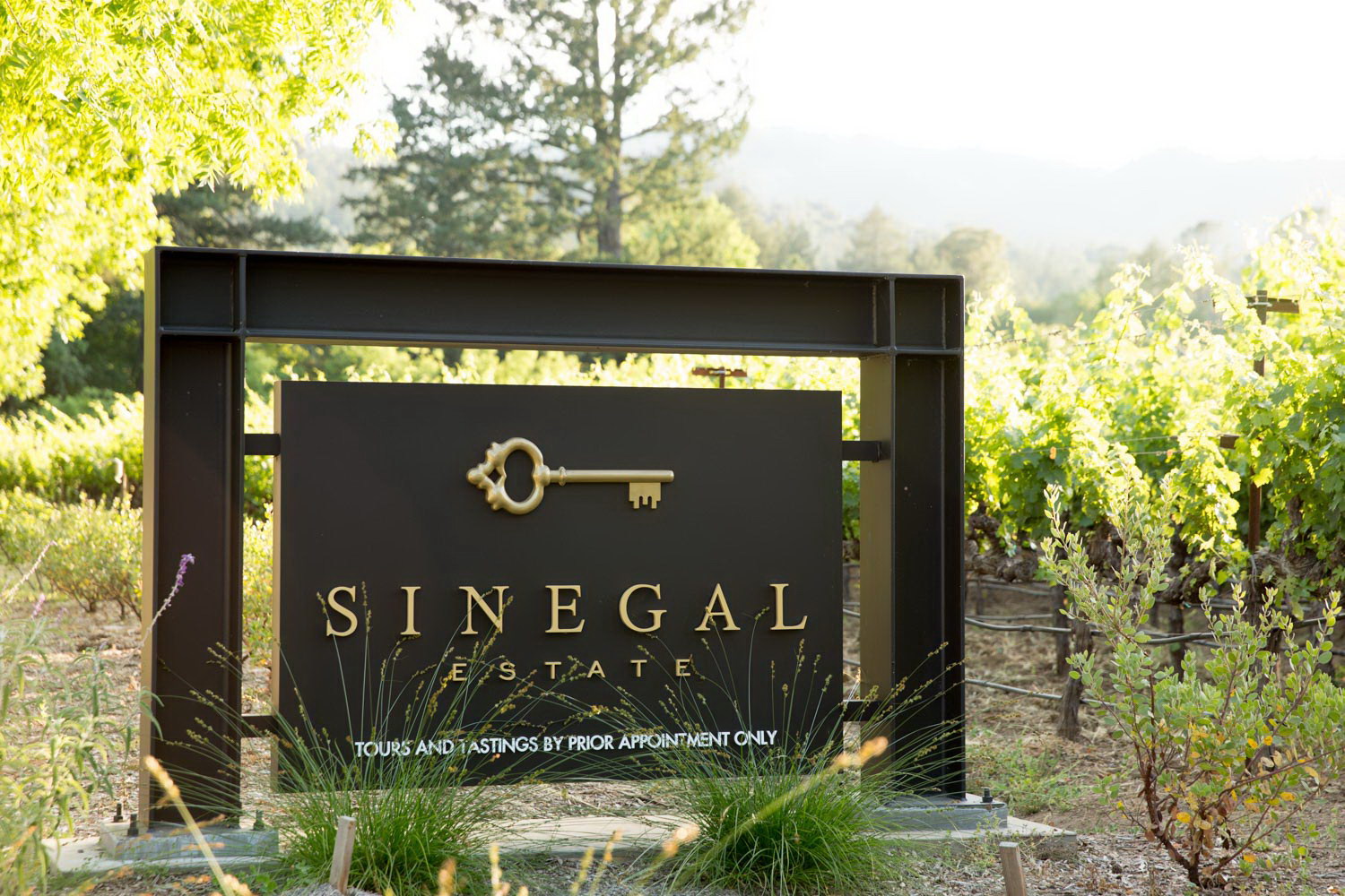 Sinegal Estate Winery by Signum Architecture