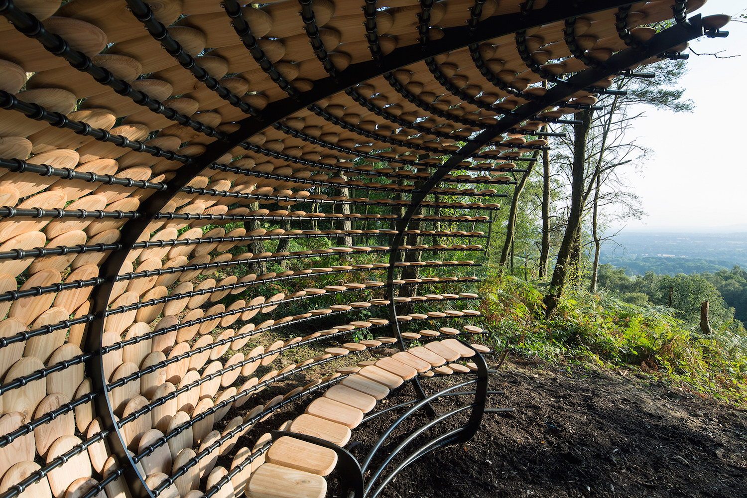 Perspectives | Pavilion by Giles Miller Studio