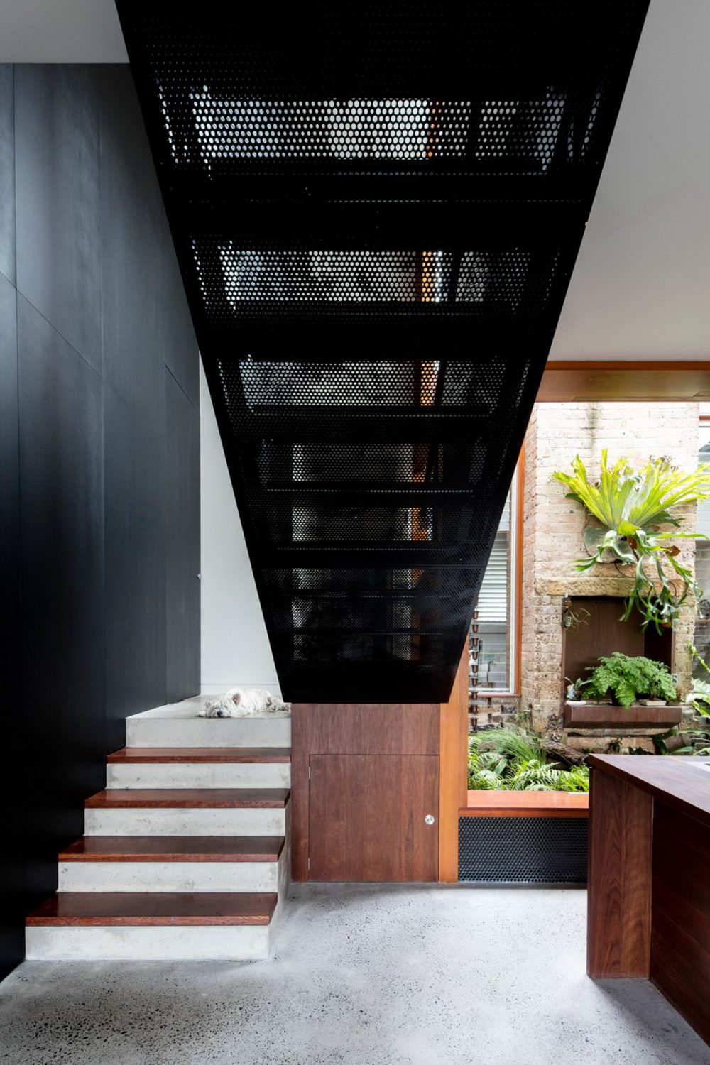 Screen House | Black Home by Carter Williamson Architects