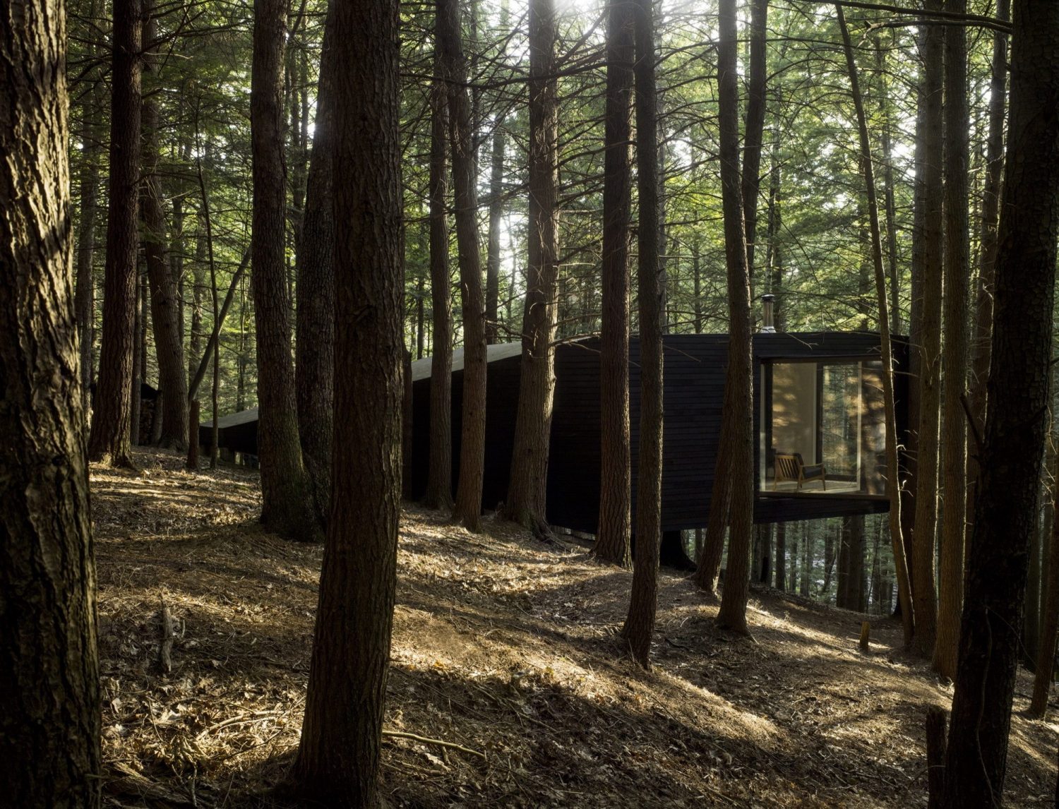 Half-Tree House | One-Room Cabin by Jacobschang Architecture