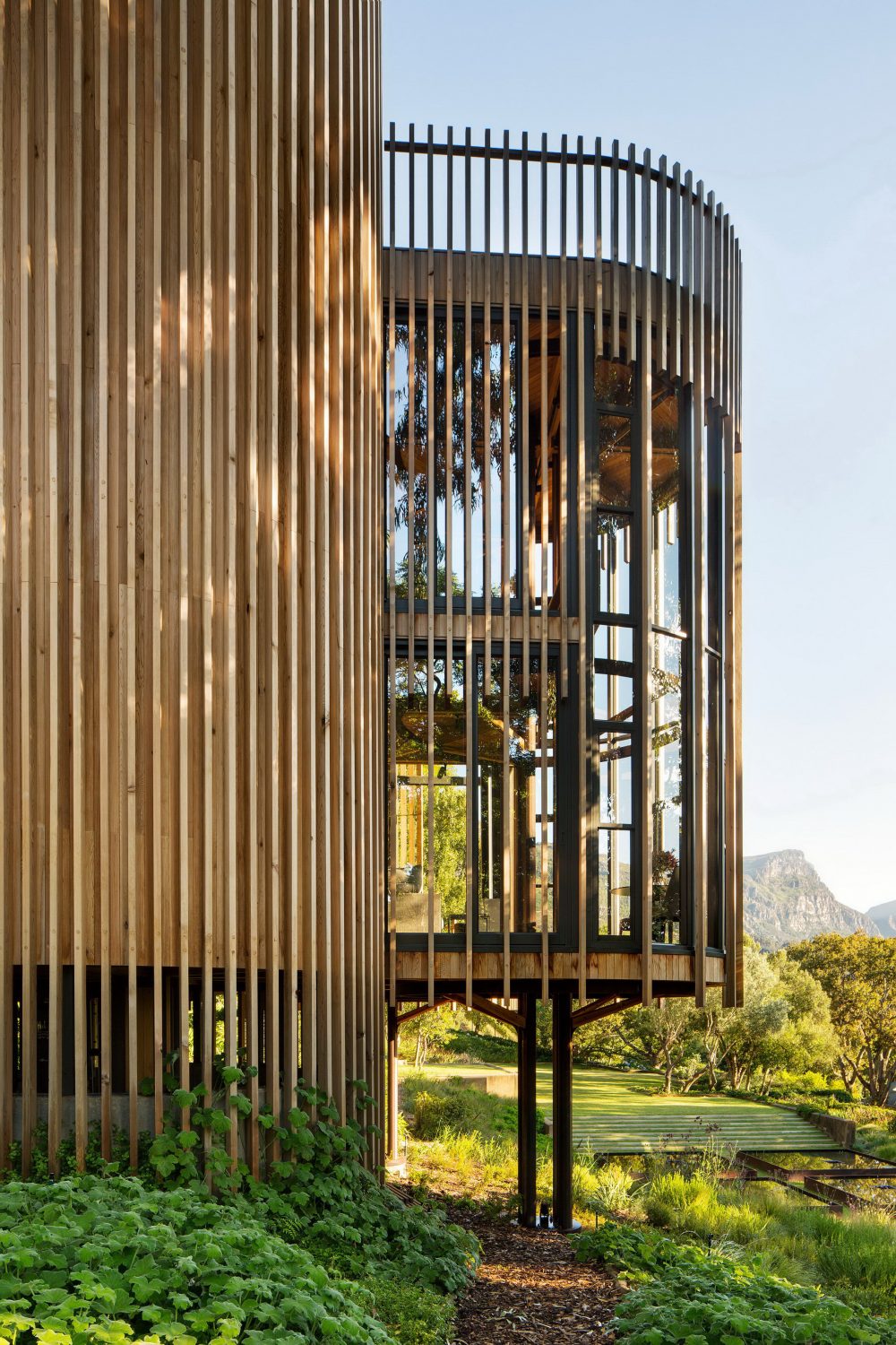 Tree House Constantia by Malan Vorster