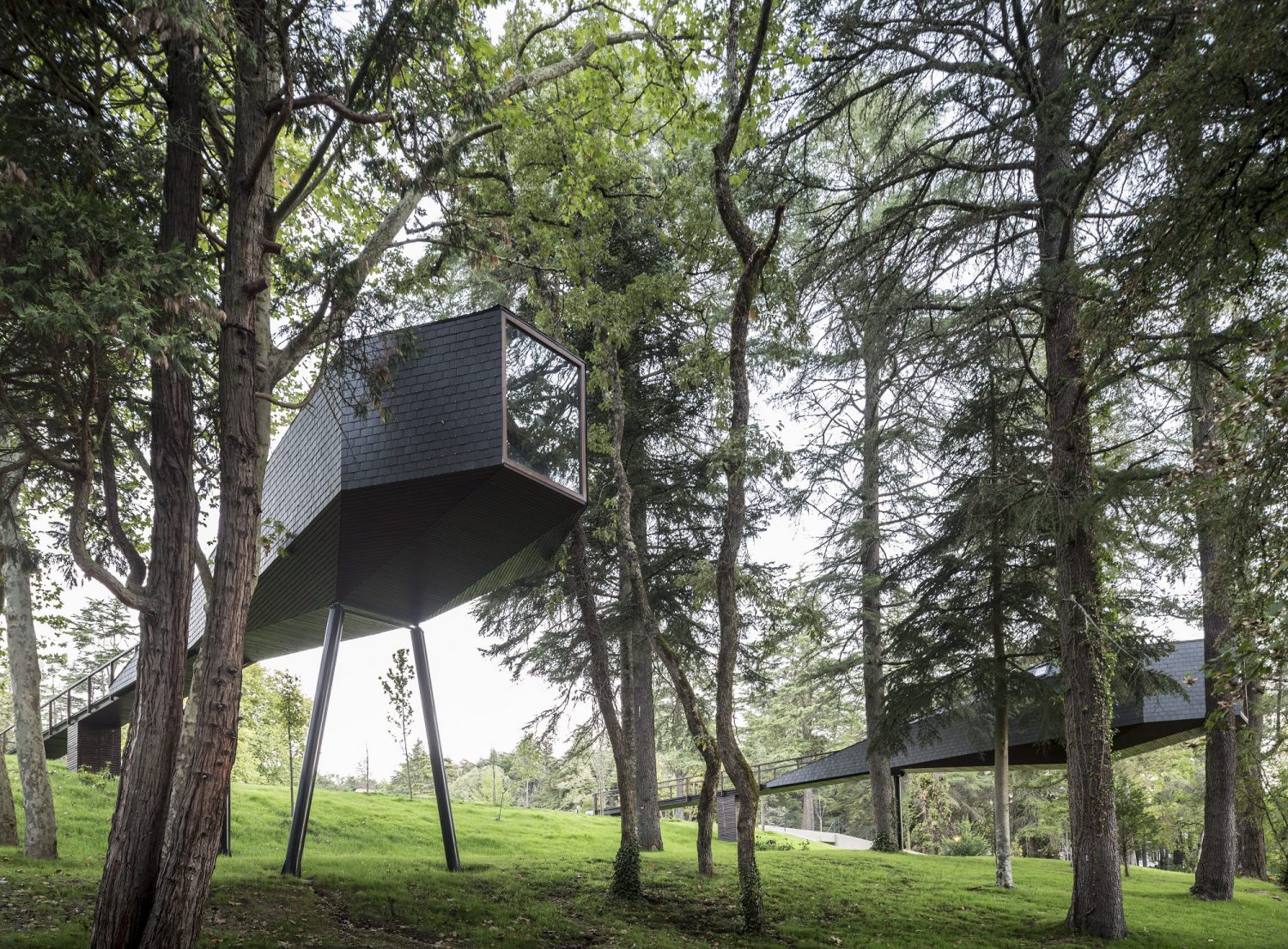 Tree Snake Houses by Rebelo de Andrade Architecture & Design