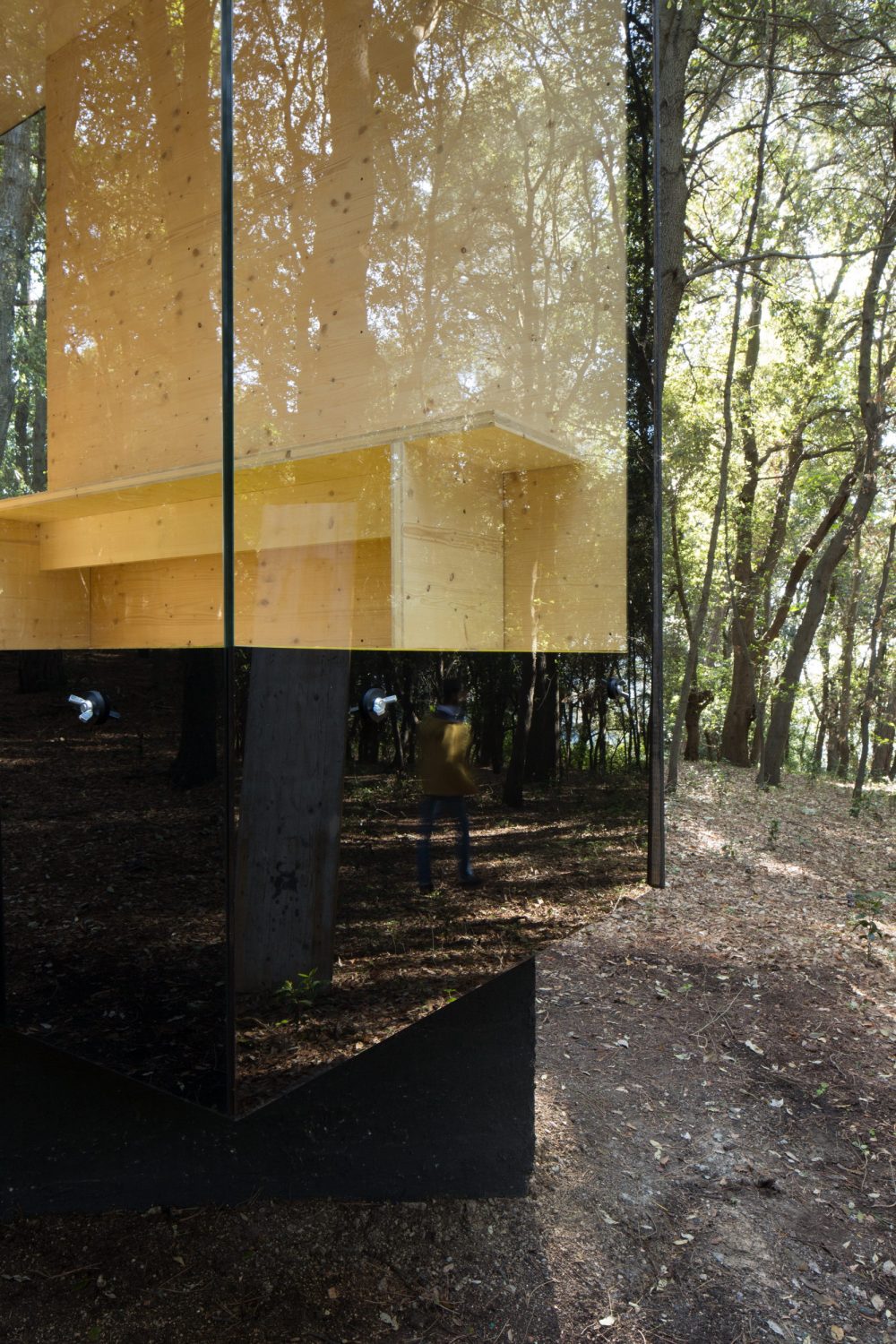 CBN – Cabin in the Wood by PLUS ULTRA studio