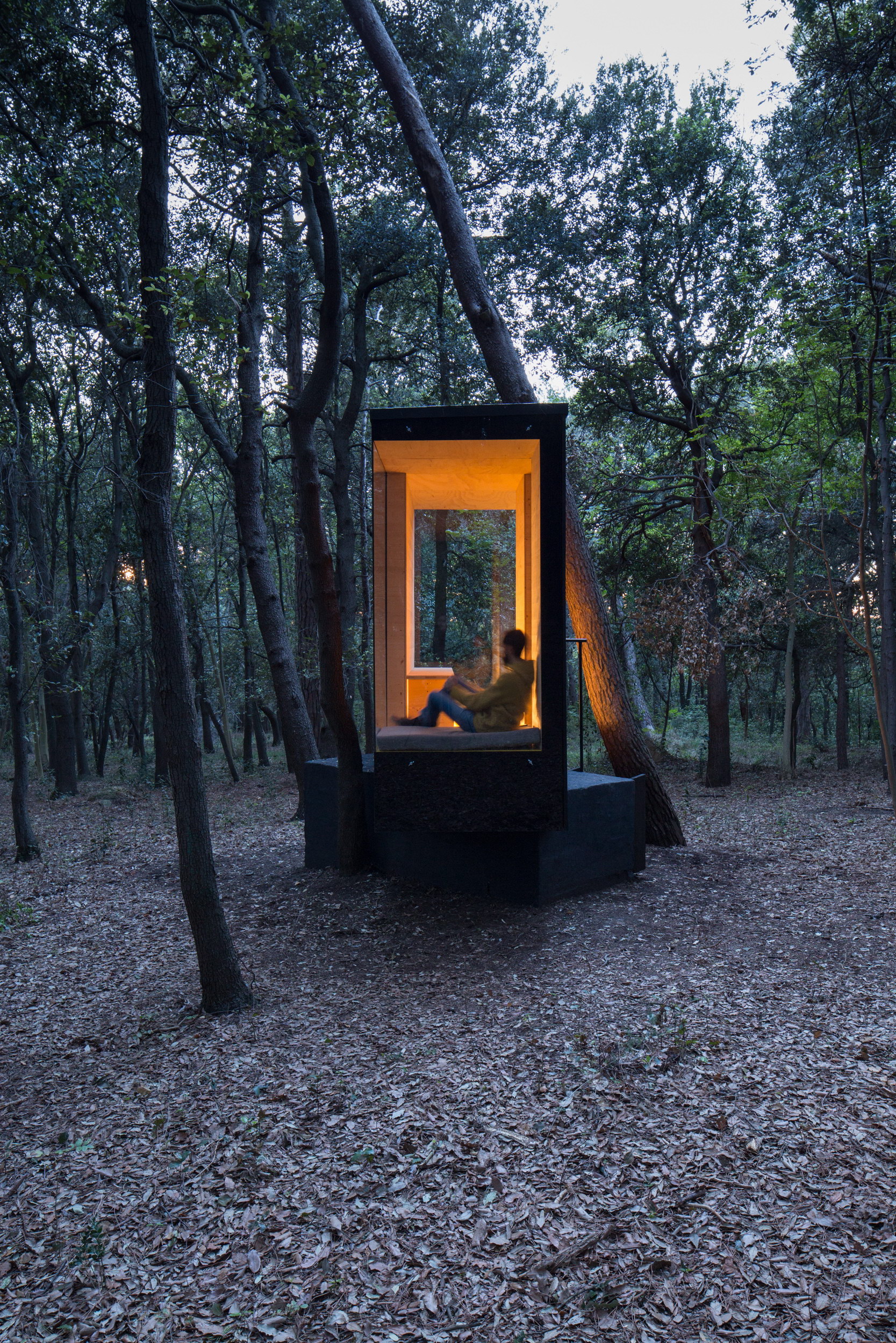 CBN – Cabin in the Wood by PLUS ULTRA studio