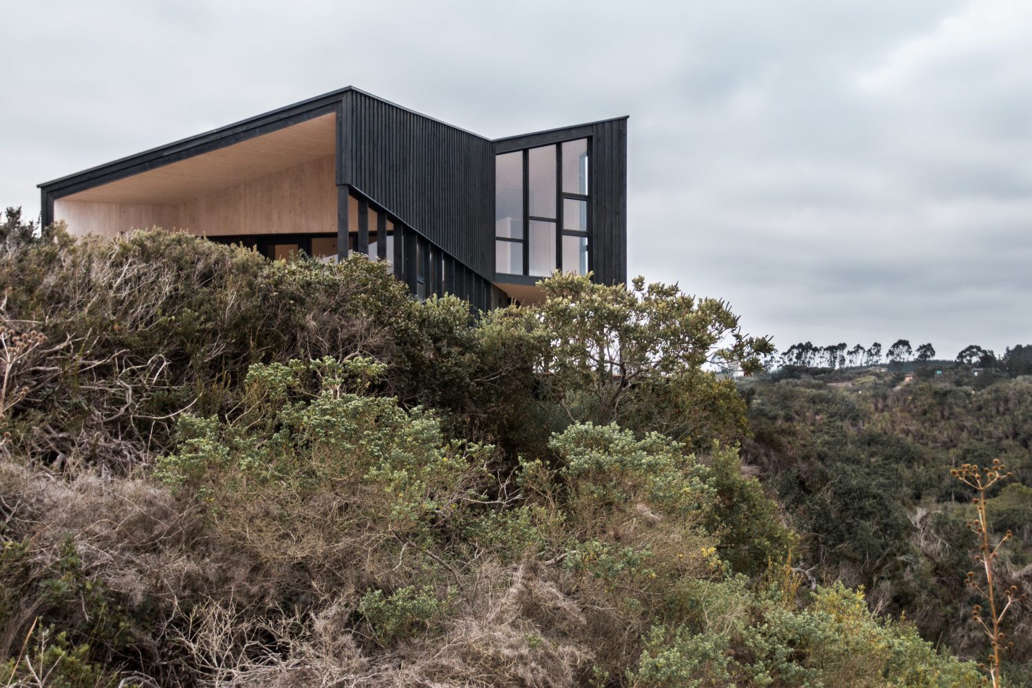 Stranded House – Clifftop Beach House by WHALE!