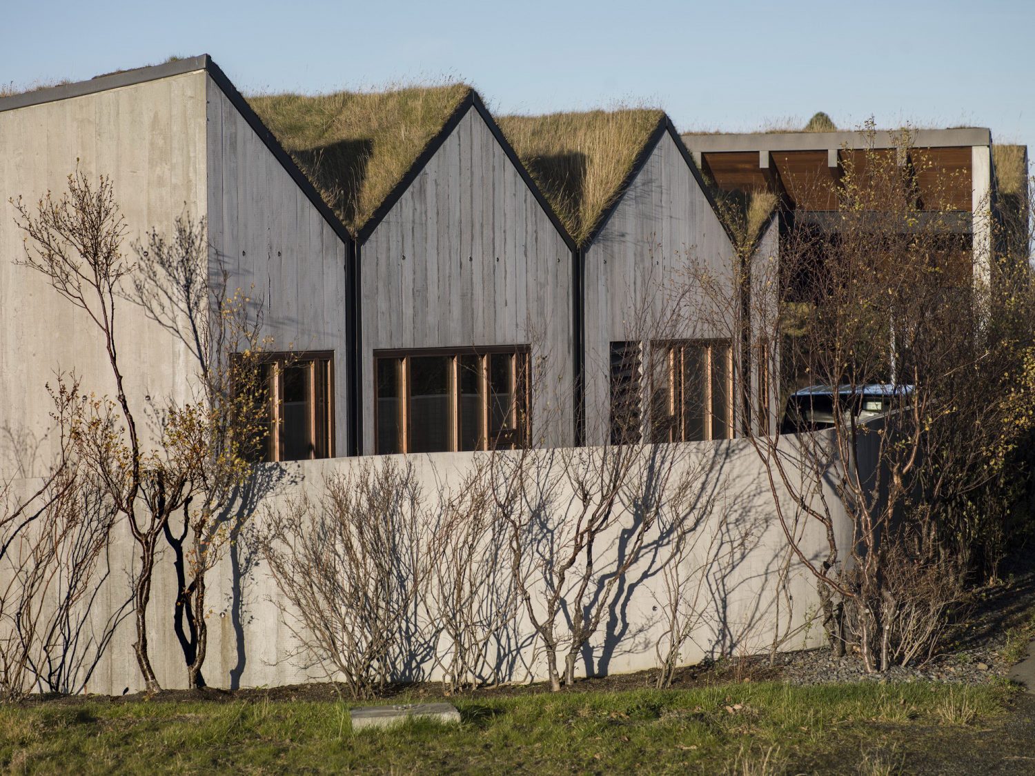 B14 – Icelandic Villa under a Series of Sharply Pitched Green Roofs