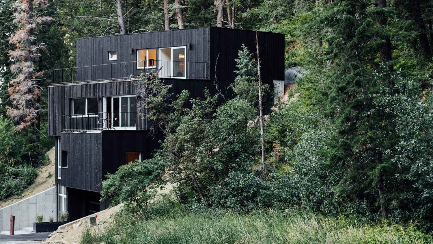 Black Treehaus by Park City Design+Build