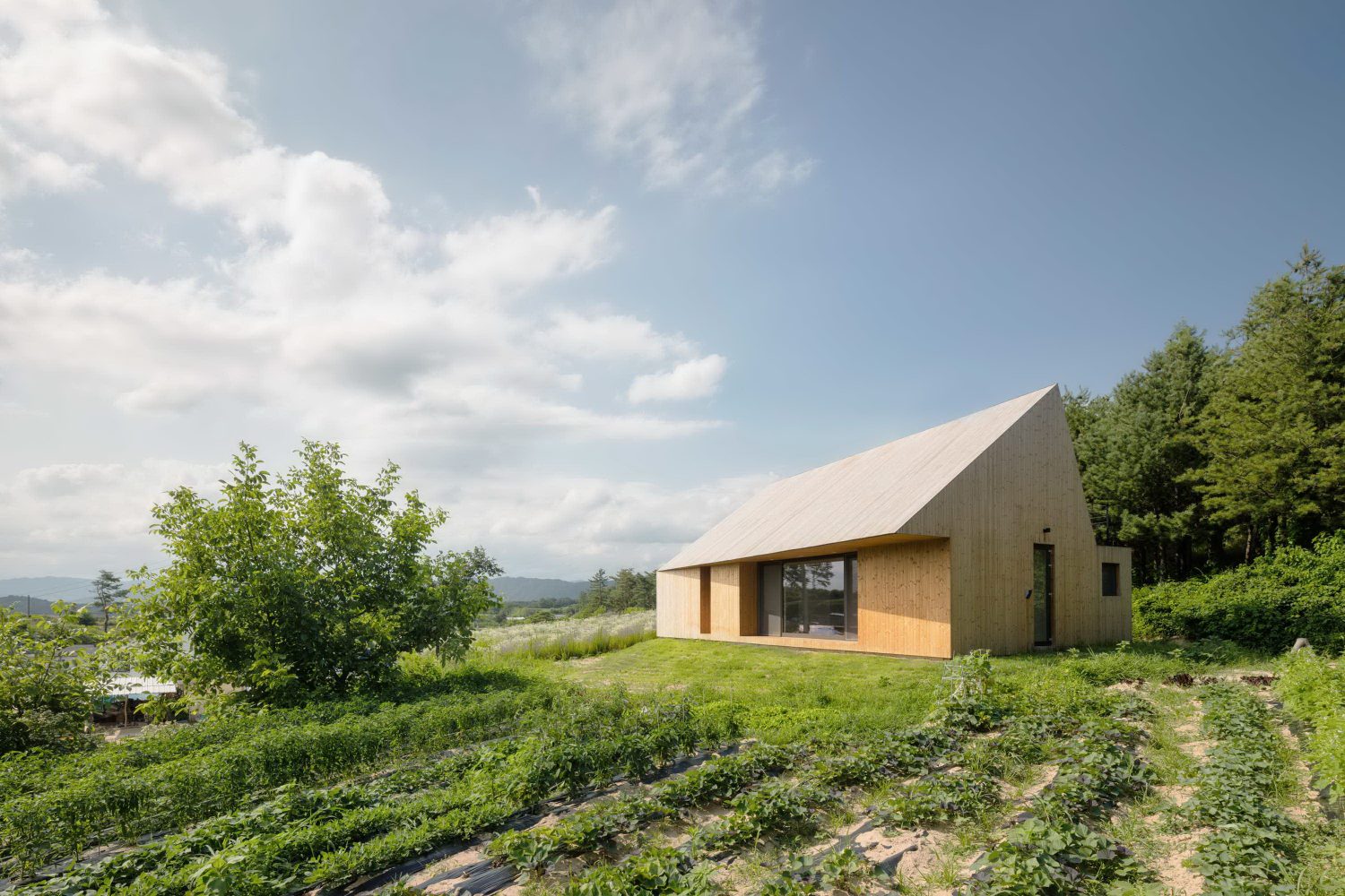 Shear House – Rural Cabin by stpmj