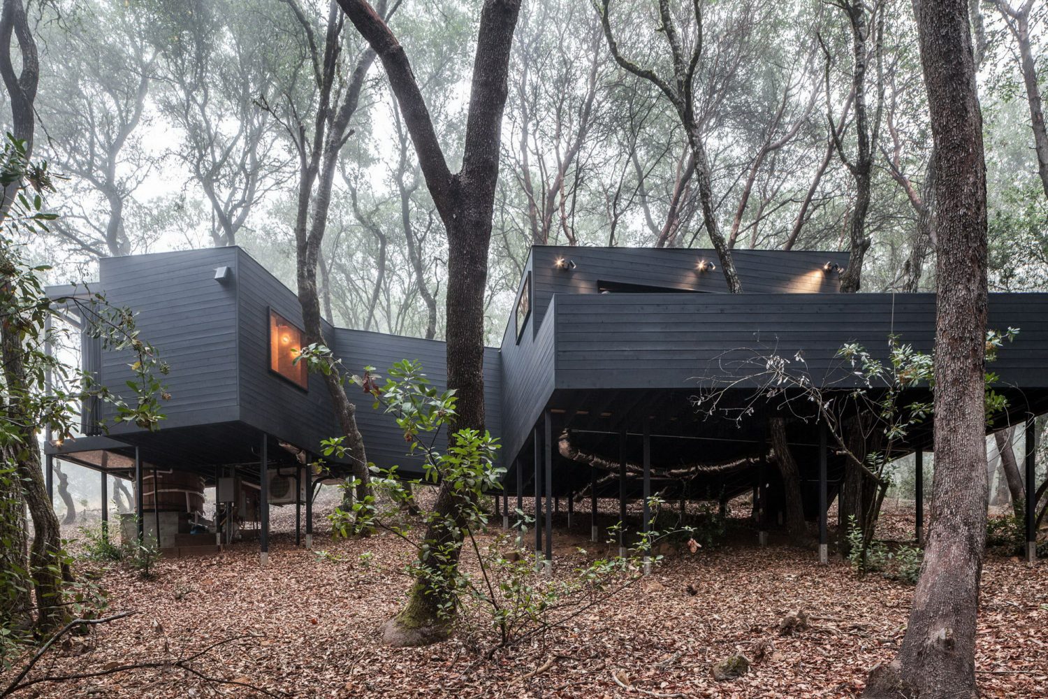 Forest House | Complex of Nine One-Room Cabins by Envelope A+D