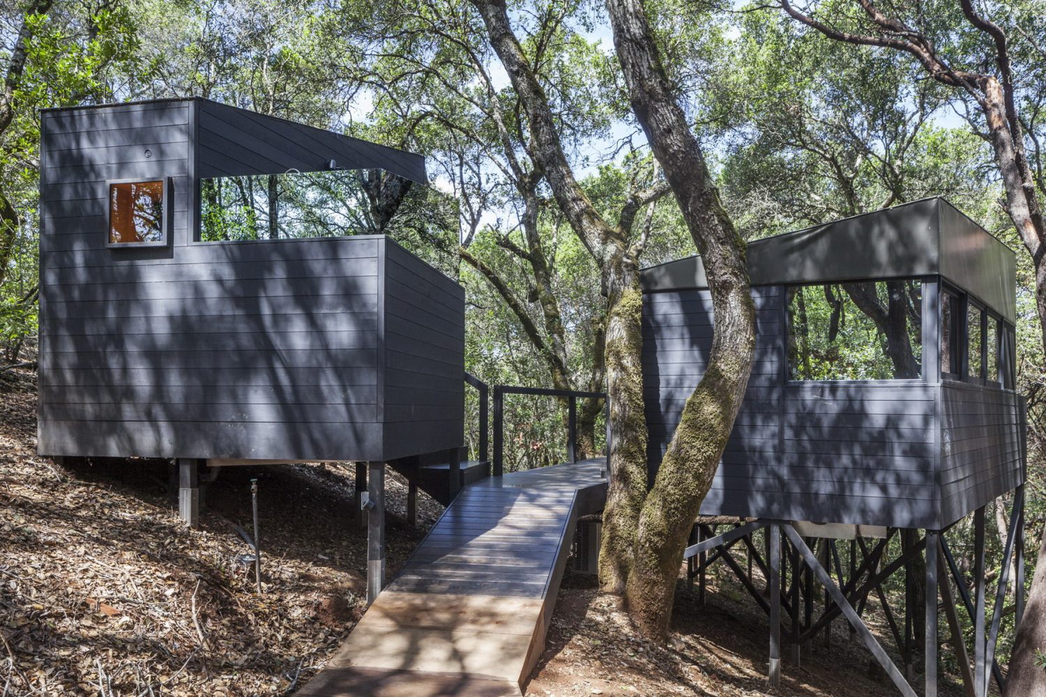 Forest House | Complex of Nine One-Room Cabins by Envelope A+D