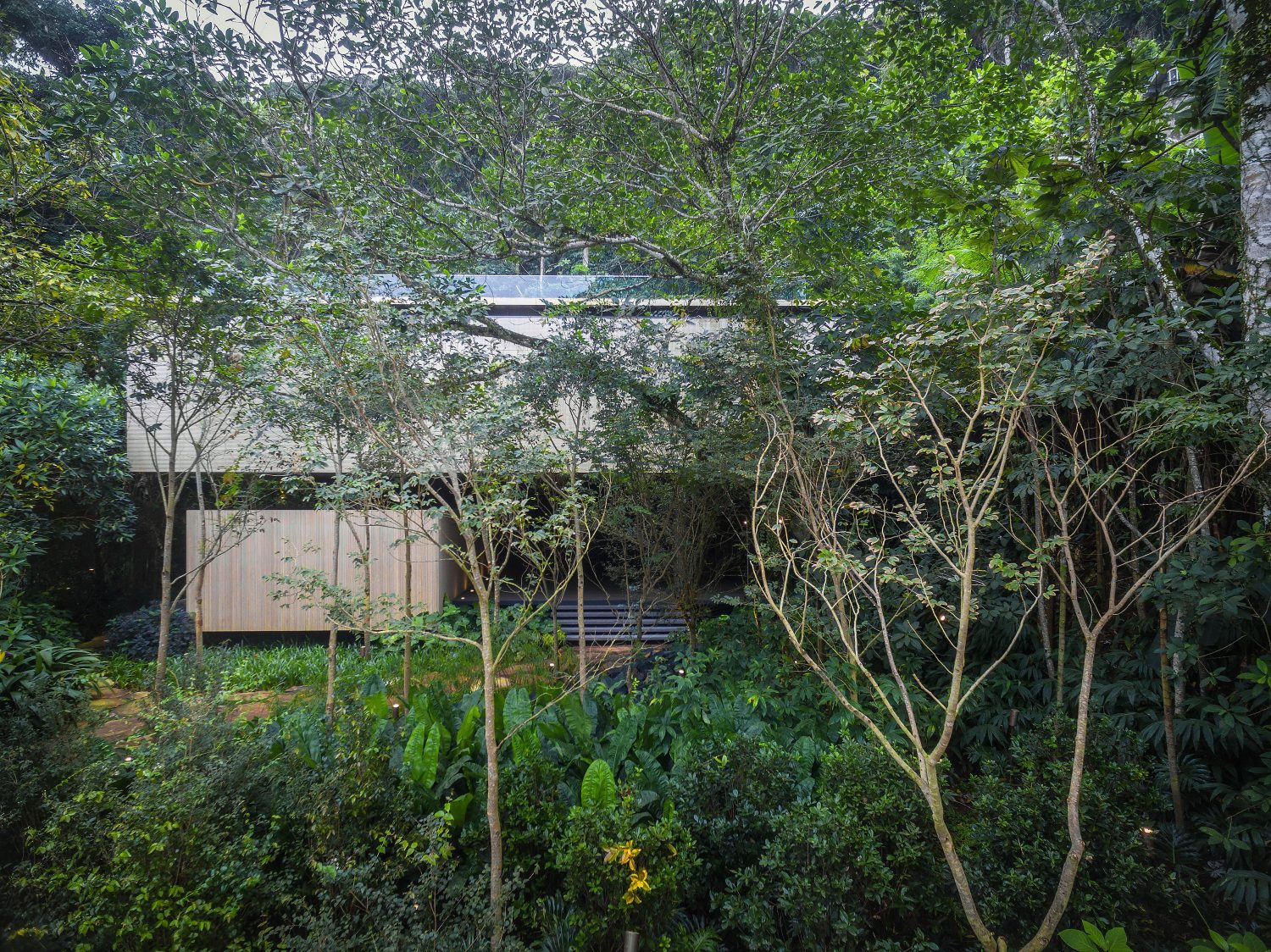 Jungle House by Studio MK27