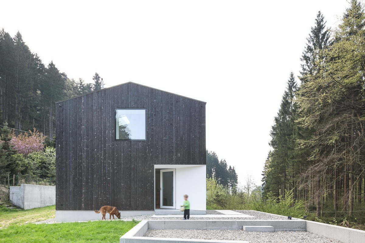 Black Forest by Stocker Dewes Architekten