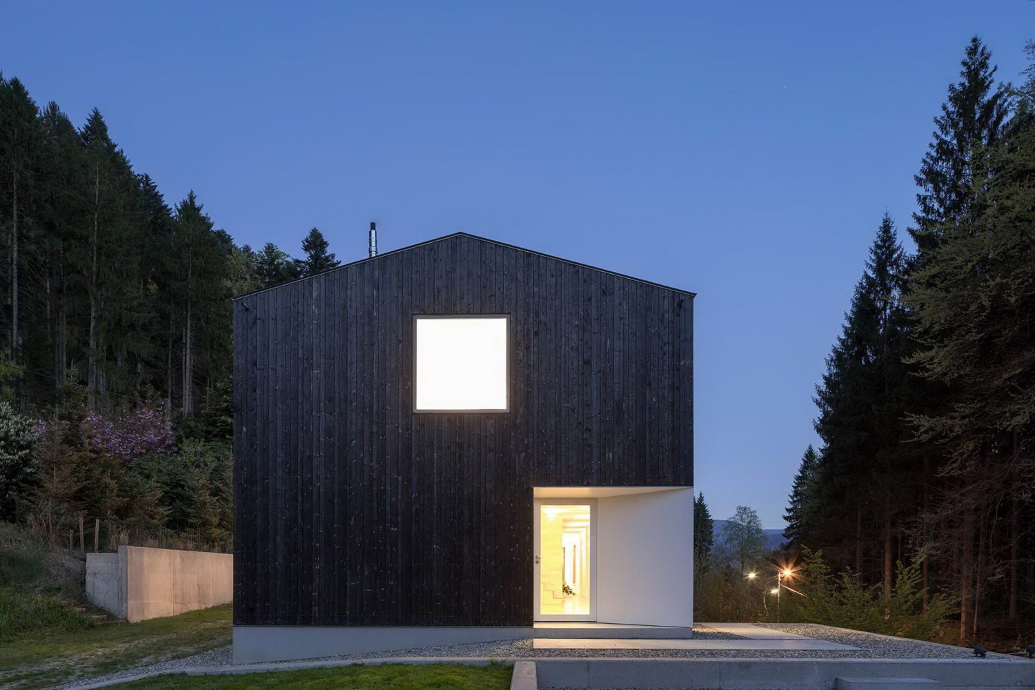 Black Forest by Stocker Dewes Architekten