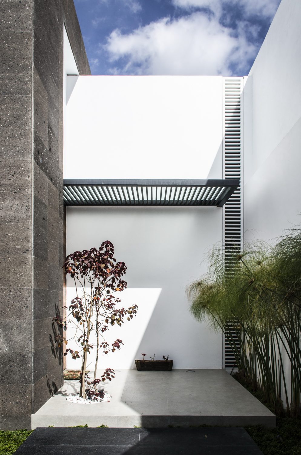 Casa Mezquite by BAG arquitectura