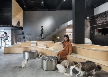 Meow Restaurant by E Studio