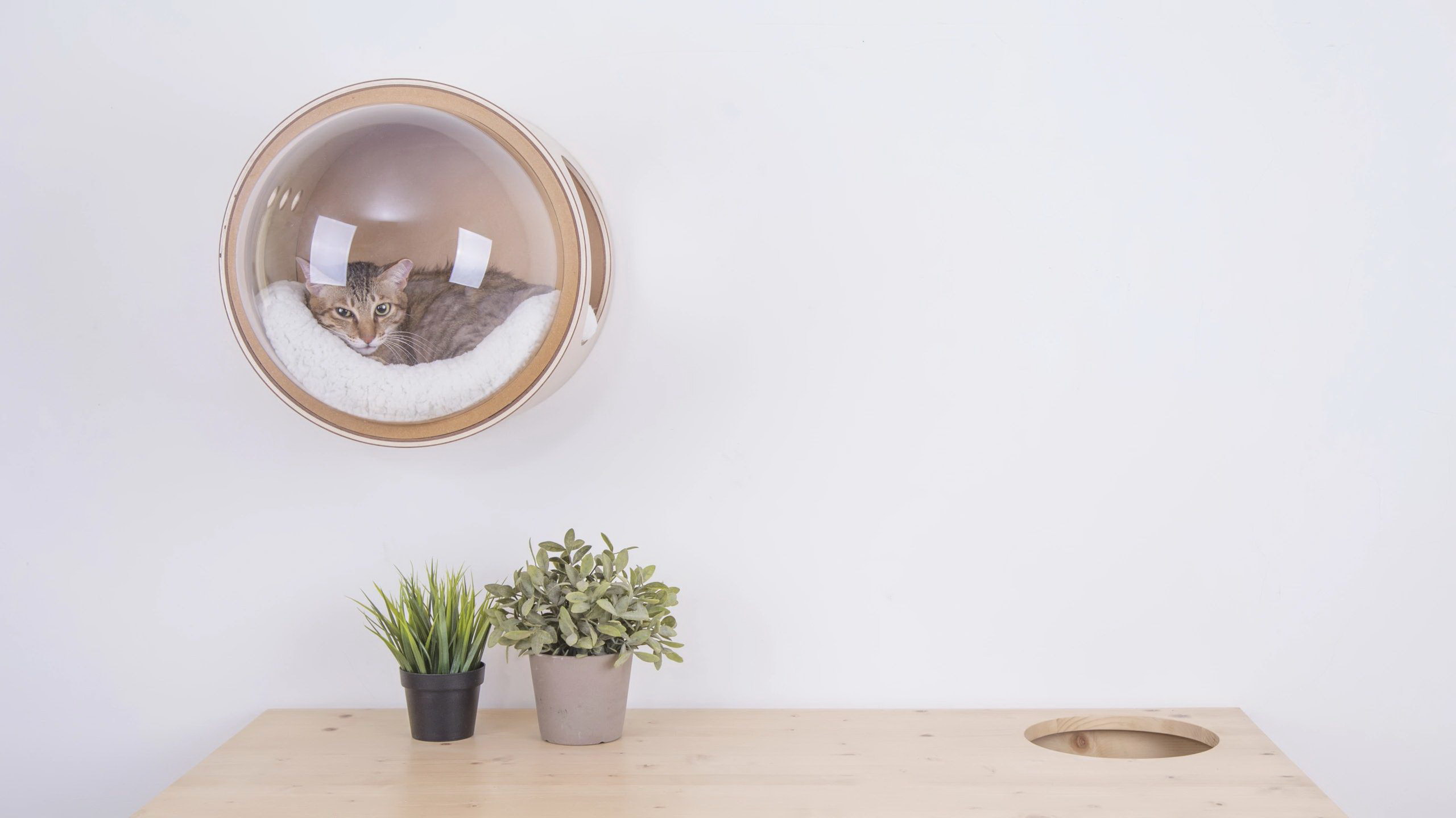 Spaceship-Inspired Cat Beds by Myzoo Studio