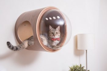 Spaceship-Inspired Cat Beds by Myzoo Studio