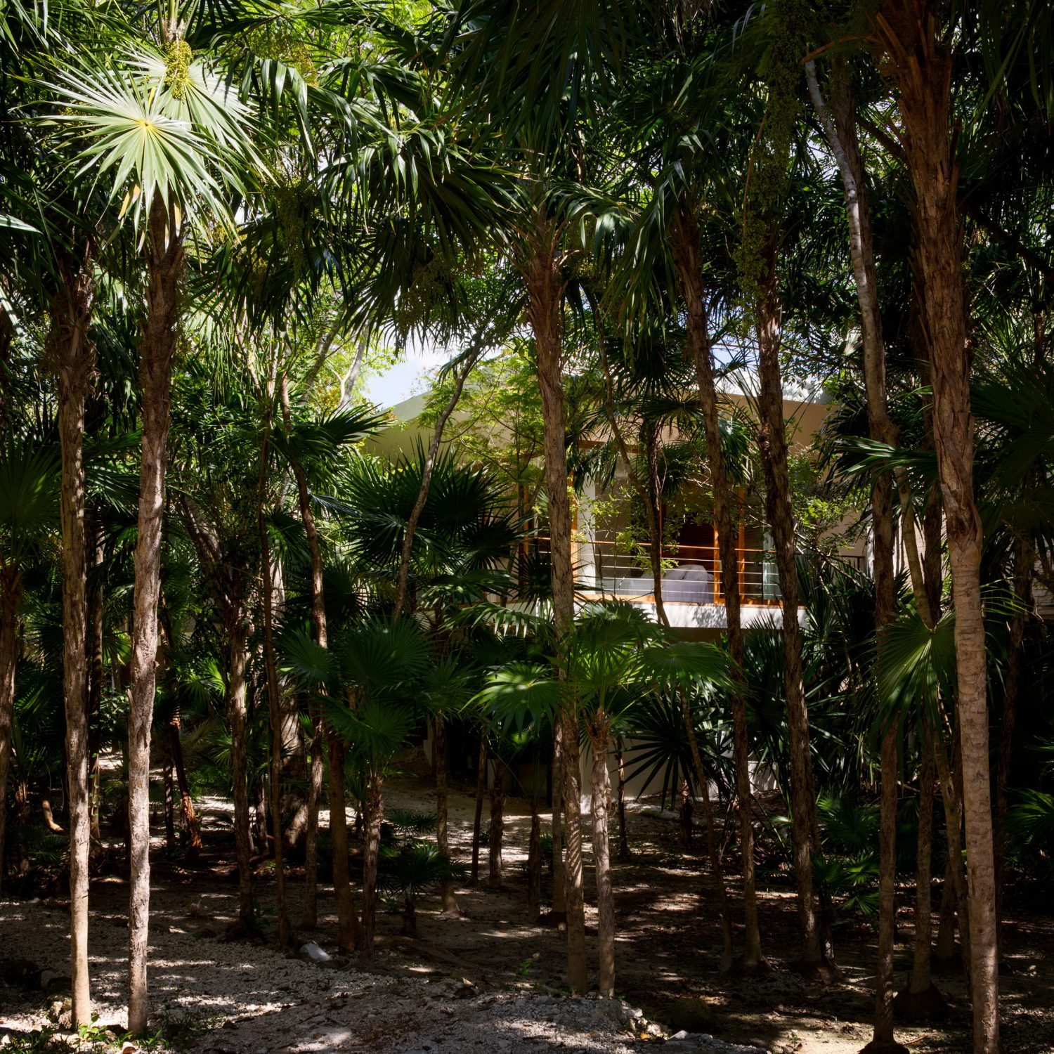 Casa Cozumel by Sordo Madaleno Arquitectos