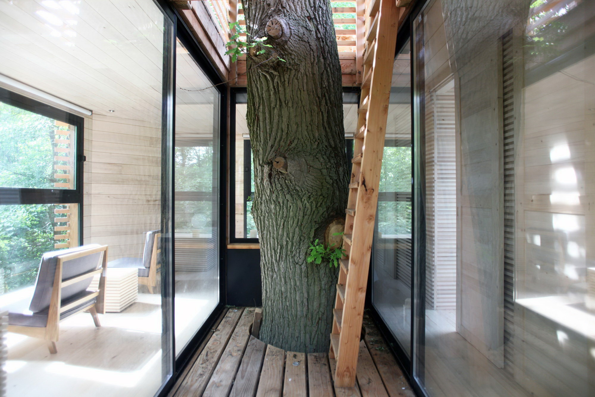 ORIGIN Tree House Hotel by Atelier LAVIT