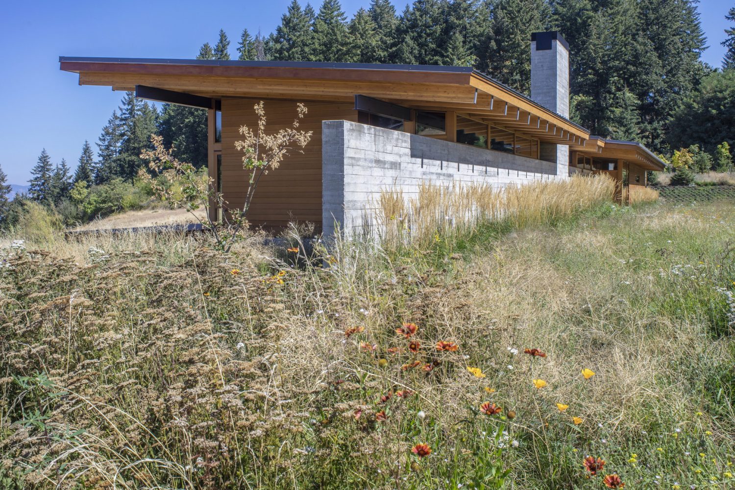 Hood River Residence by Scott | Edwards Architecture