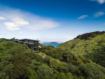 Korokoro Bush House by Parsonson Architects