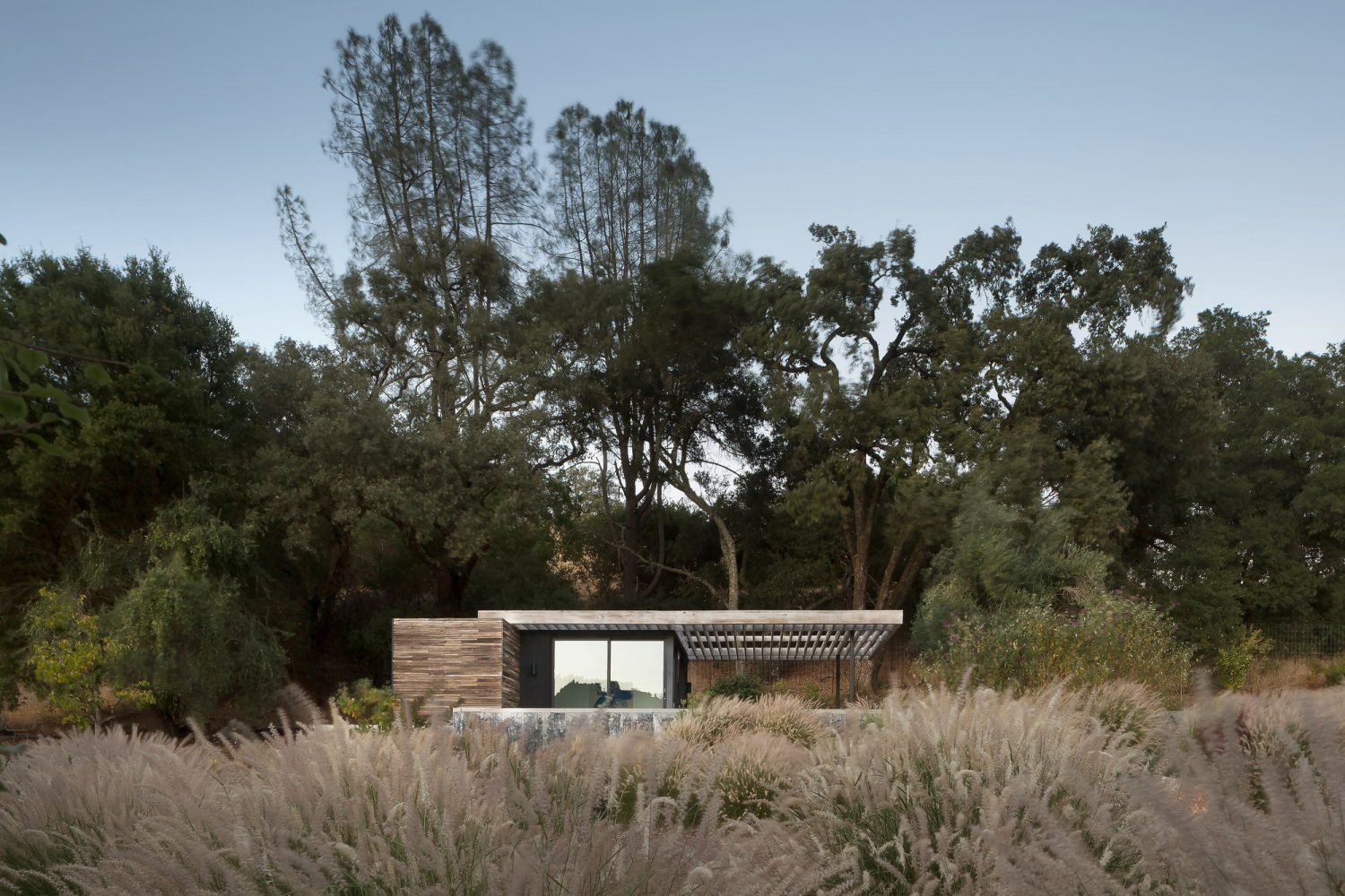 Dry Creek Pool House by Ro Rockett Design