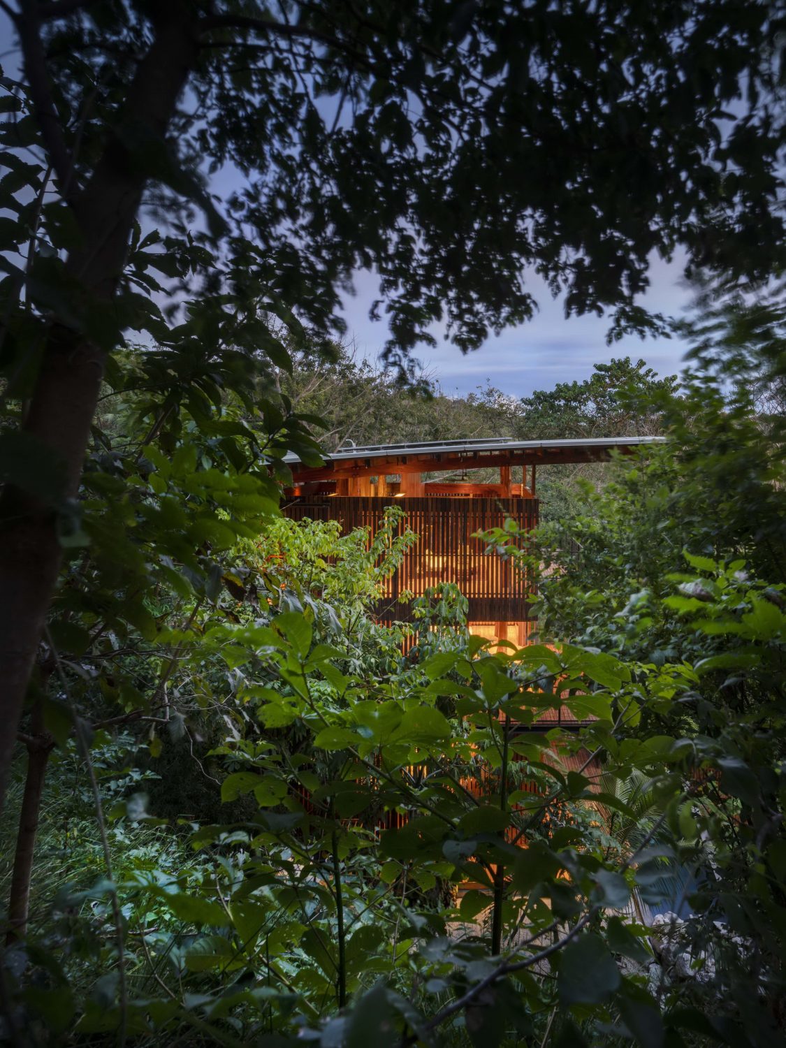 Costa Rica Treehouse by Olson Kundig