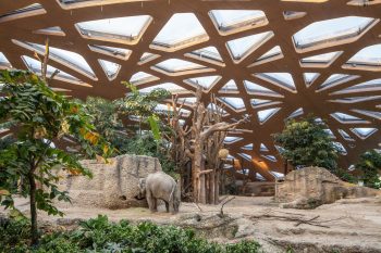 Elephant House Zoo Zürich by MSA
