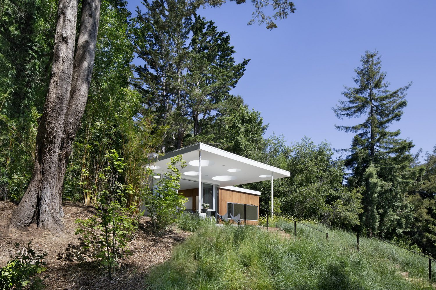 Mill Valley Guesthouse by Turnbull Griffin Haesloop Architects