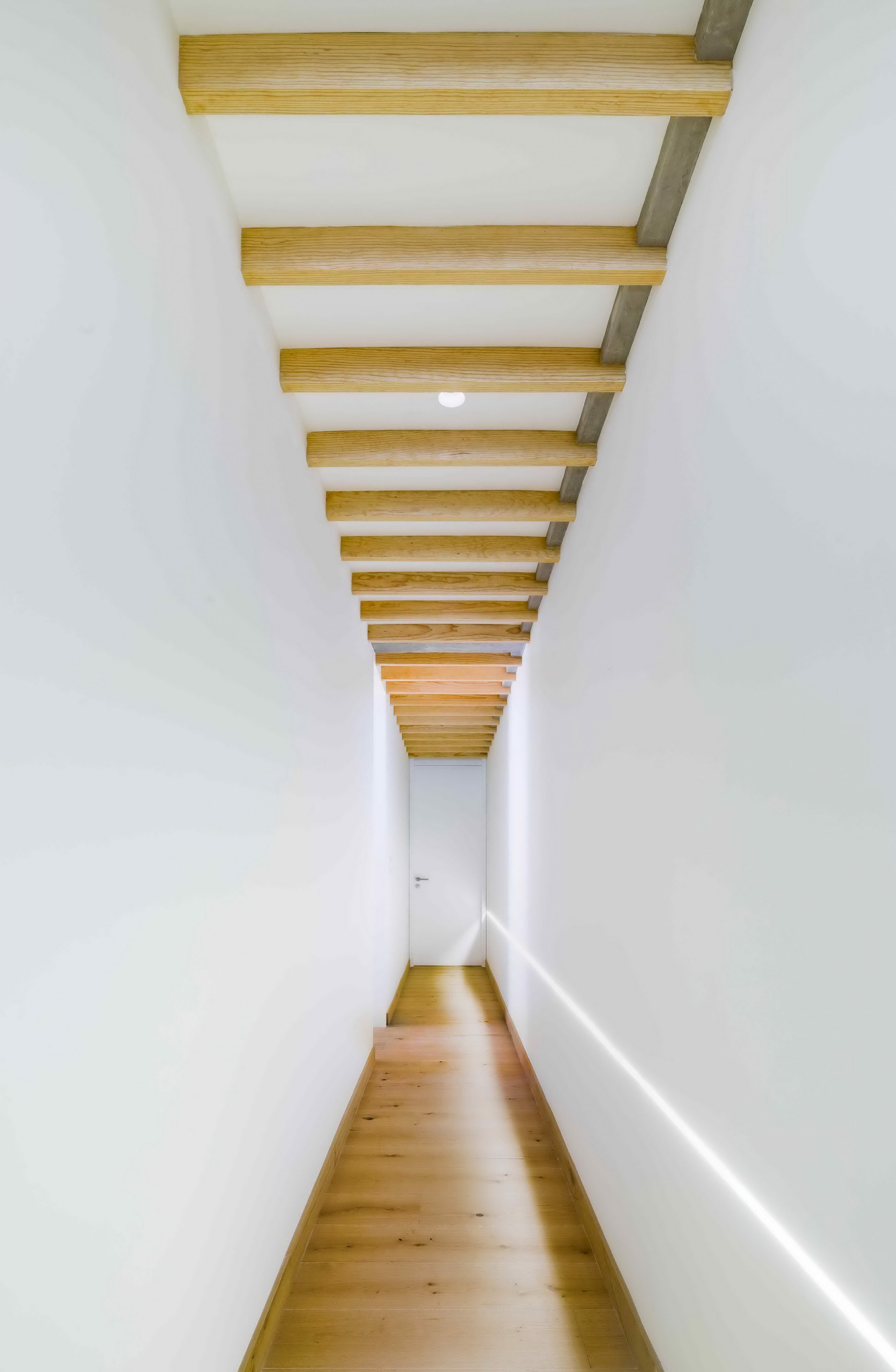 Penthouse in Magdalena by Taller David Dana