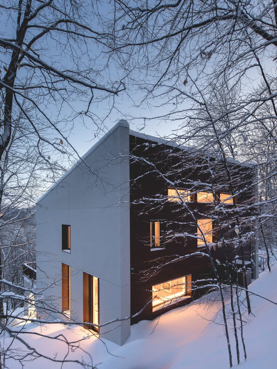 Residence Maribou by Alain Carle Architecte