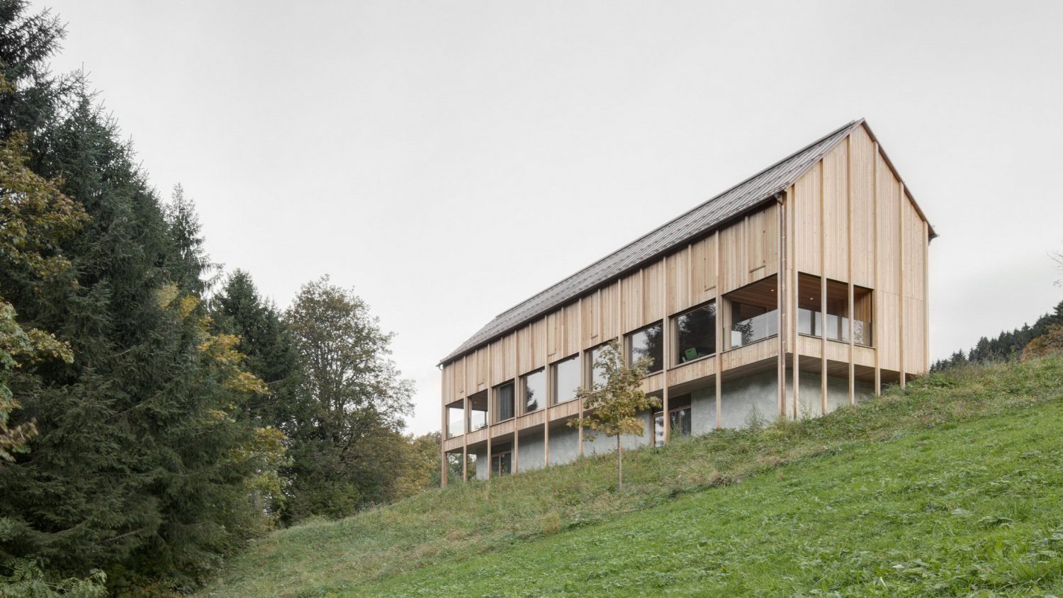 Haus am Stürcherwald by Bernardo Bader Architekten