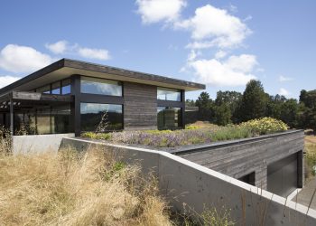 The Meadow Home by Feldman Architecture
