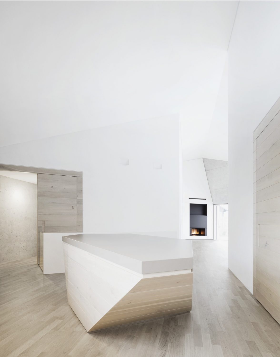 E20 House by Steimle Architekten