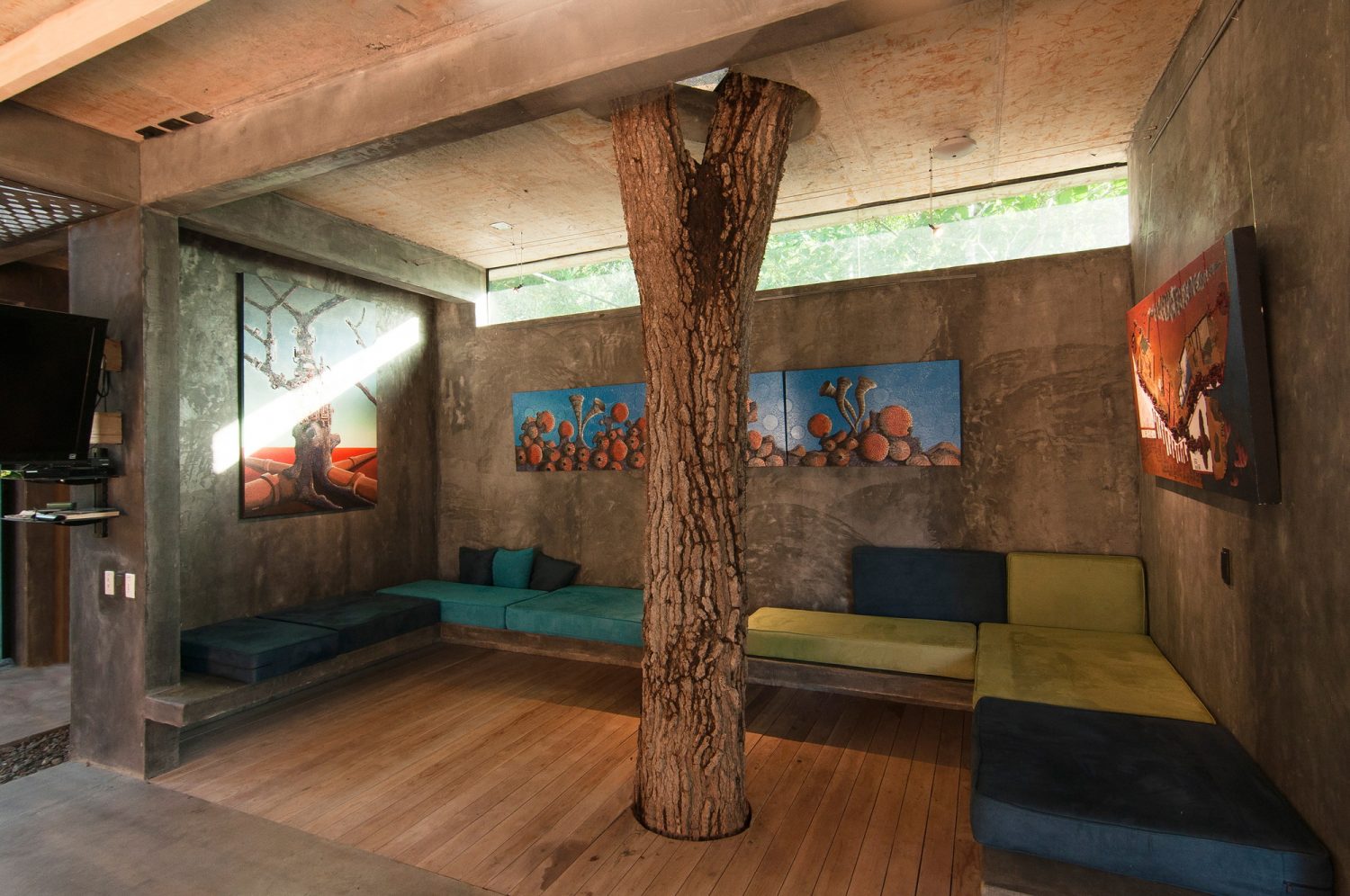 Tree House by QBO3 Arquitectos