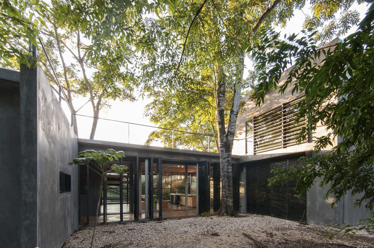 Tree House by QBO3 Arquitectos