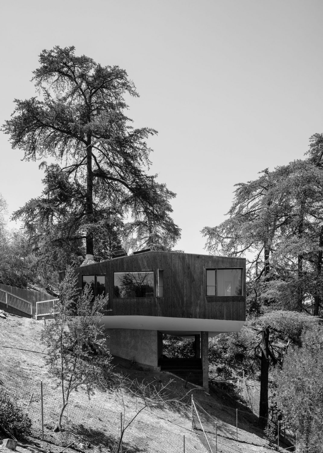House in Trees by Anonymous Architects