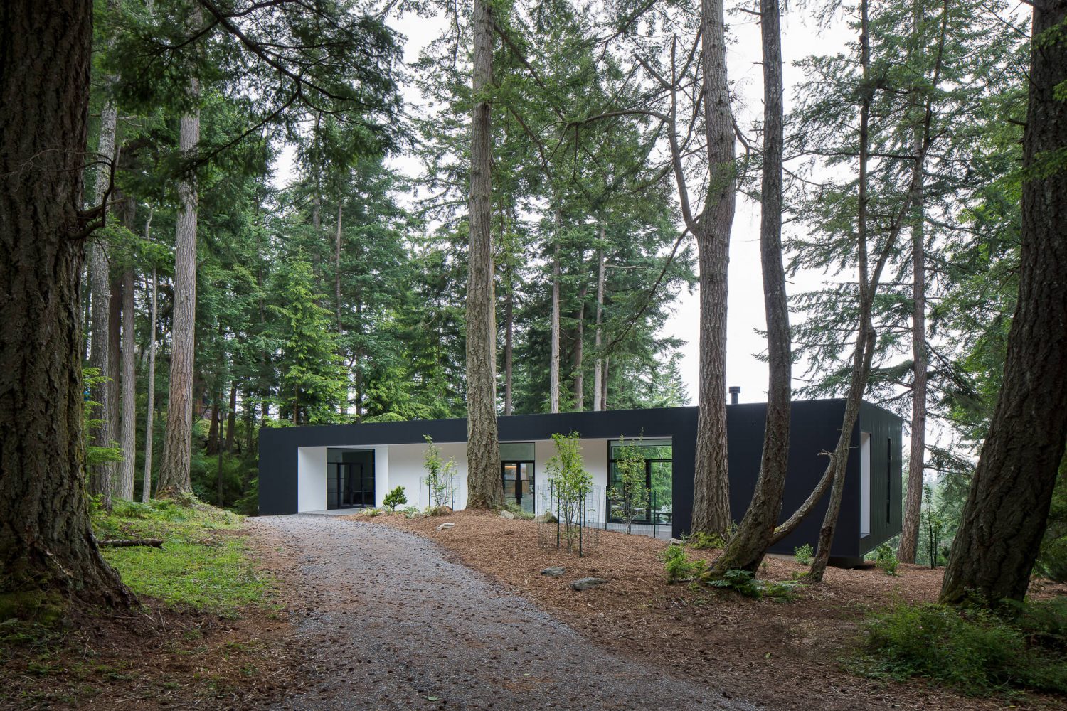 Collector's Retreat by Heliotrope Architects