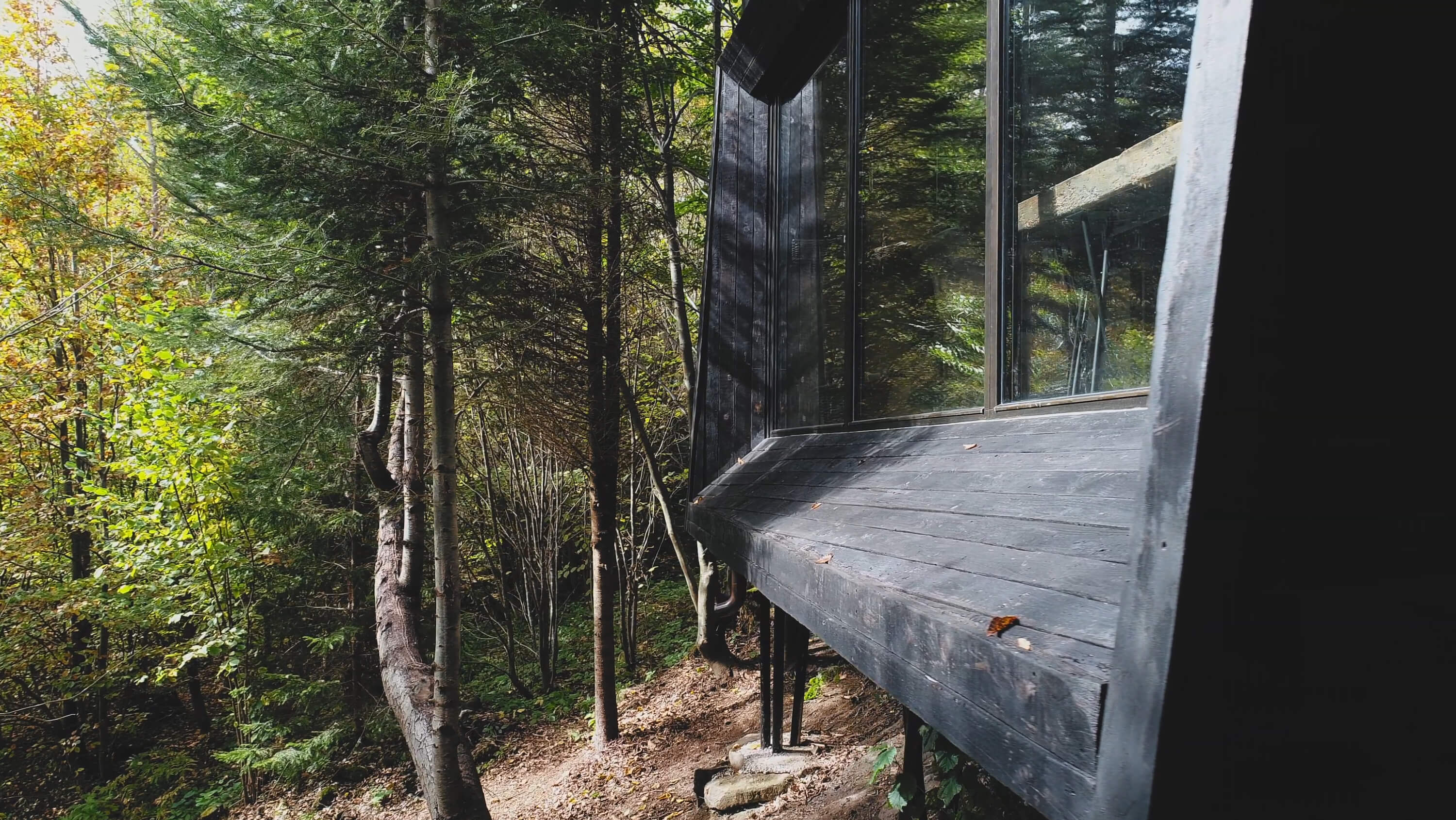 Wild'in – Prefabricated Modular Cabin in Transylvania